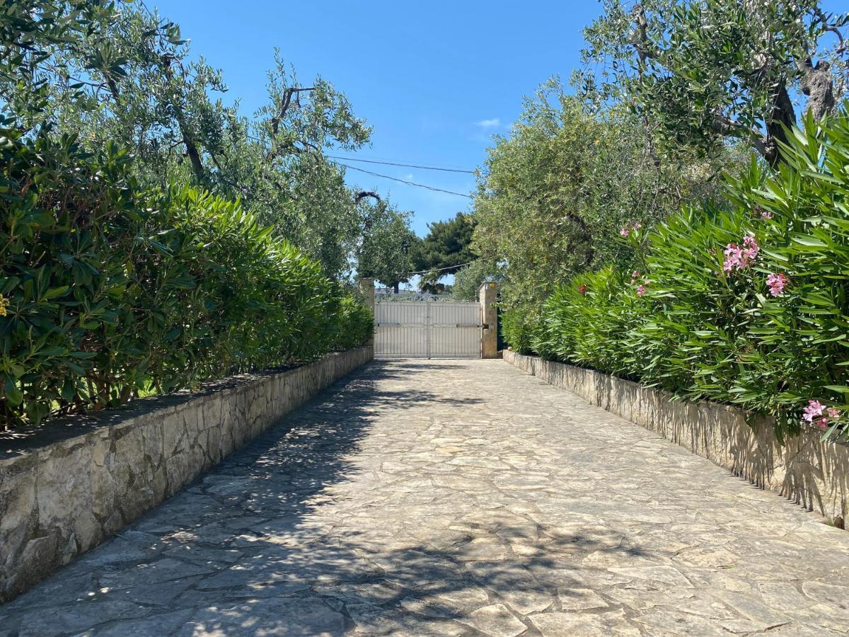 Villa Vittoria Весте Екстериор снимка