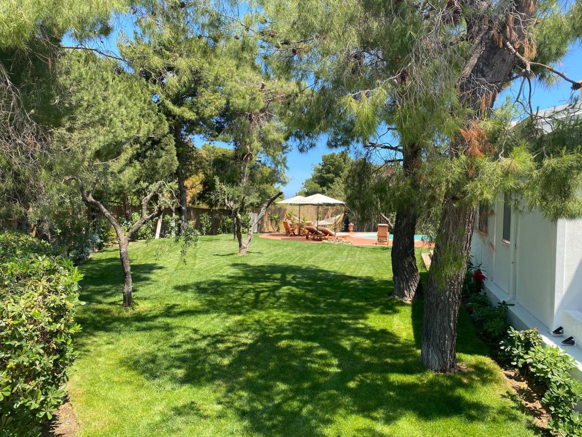 Villa Vittoria Весте Екстериор снимка