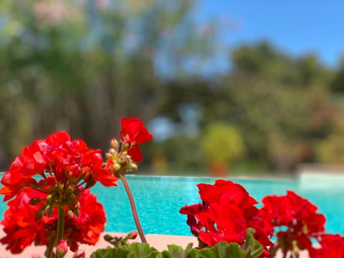 Villa Vittoria Весте Екстериор снимка